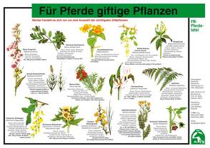 Für Pferde giftige Pflanzen von Deutsche Reiterliche Vereinigung e.V. (FN), Prof.Dr. Hertsch,  Bodo, Spenlen,  Uwe