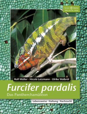 Furcifer pardalis – Das Pantherchamäleon von Lutzmann,  Nicolá, Müller,  Rolf, Walbröl,  Ulrike