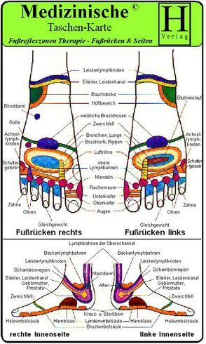 Fussreflexzonen Therapie Fussrücken & Seiten – Medizinische Taschen-Karte von Verlag Hawelka