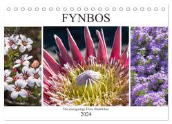 Fynbos – Die einzigartige Flora Südafrikas (Tischkalender 2024 DIN A5 quer), CALVENDO Monatskalender von Schröder,  Silvia