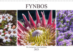 Fynbos – Die einzigartige Flora Südafrikas (Wandkalender 2023 DIN A3 quer) von Schröder,  Silvia