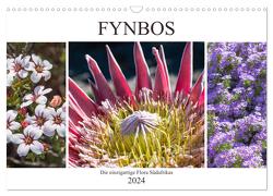Fynbos – Die einzigartige Flora Südafrikas (Wandkalender 2024 DIN A3 quer), CALVENDO Monatskalender von Schröder,  Silvia