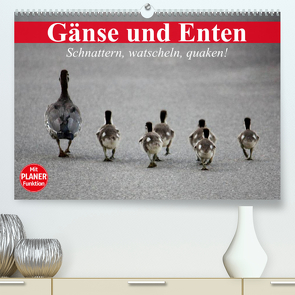 Gänse und Enten. Schnattern, watscheln, quaken! (Premium, hochwertiger DIN A2 Wandkalender 2023, Kunstdruck in Hochglanz) von Stanzer,  Elisabeth