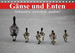 Gänse und Enten. Schnattern, watscheln, quaken! (Tischkalender 2019 DIN A5 quer) von Stanzer,  Elisabeth