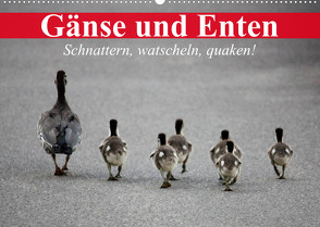 Gänse und Enten. Schnattern, watscheln, quaken! (Wandkalender 2023 DIN A2 quer) von Stanzer,  Elisabeth