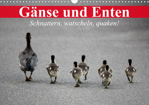 Gänse und Enten. Schnattern, watscheln, quaken! (Wandkalender 2023 DIN A3 quer) von Stanzer,  Elisabeth