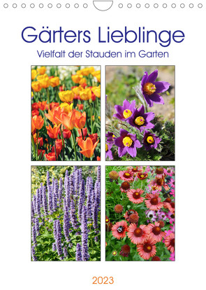 Gärtners Lieblinge – Vielfalt der Stauden im Garten (Wandkalender 2023 DIN A4 hoch) von Frost,  Anja
