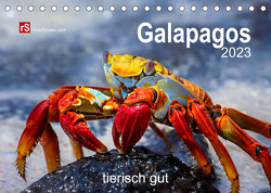 Galapagos 2022 tierisch gut (Tischkalender 2023 DIN A5 quer) von Bergwitz,  Uwe