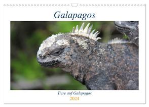 Galapagos 2024 – Tiere auf Galapagos (Wandkalender 2024 DIN A3 quer), CALVENDO Monatskalender von Biebeler,  Ralf