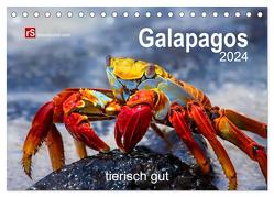 Galapagos 2024 tierisch gut (Tischkalender 2024 DIN A5 quer), CALVENDO Monatskalender von Bergwitz,  Uwe