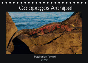 Galapagos Archipel- Faszination Tierwelt (Tischkalender 2022 DIN A5 quer) von Photo4emotion.com