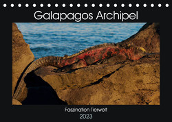 Galapagos Archipel- Faszination Tierwelt (Tischkalender 2023 DIN A5 quer) von Photo4emotion.com