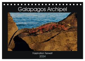 Galapagos Archipel- Faszination Tierwelt (Tischkalender 2024 DIN A5 quer), CALVENDO Monatskalender von Photo4emotion.com,  Photo4emotion.com