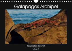 Galapagos Archipel- Faszination Tierwelt (Wandkalender 2023 DIN A4 quer) von Photo4emotion.com