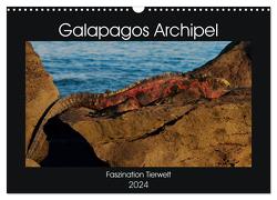 Galapagos Archipel- Faszination Tierwelt (Wandkalender 2024 DIN A3 quer), CALVENDO Monatskalender von Photo4emotion.com,  Photo4emotion.com