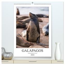 Galapagos – Atemberaubende Tierwelt (hochwertiger Premium Wandkalender 2024 DIN A2 hoch), Kunstdruck in Hochglanz von Dobrindt,  Jeanette
