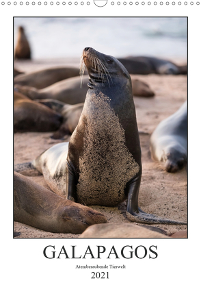 Galapagos – Atemberaubende Tierwelt (Wandkalender 2021 DIN A3 hoch) von Dobrindt,  Jeanette