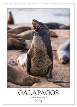 Galapagos – Atemberaubende Tierwelt (Wandkalender 2024 DIN A2 hoch), CALVENDO Monatskalender von Dobrindt,  Jeanette