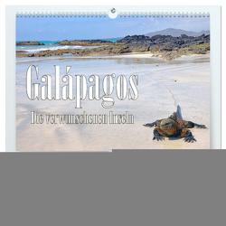 Galápagos – Die verwunschenen Inseln (hochwertiger Premium Wandkalender 2024 DIN A2 quer), Kunstdruck in Hochglanz von Schütter,  Stefan