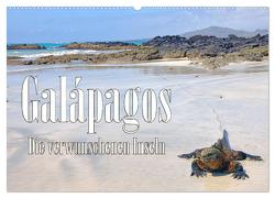 Galápagos – Die verwunschenen Inseln (Wandkalender 2024 DIN A2 quer), CALVENDO Monatskalender von Schütter,  Stefan