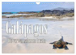 Galápagos – Die verwunschenen Inseln (Wandkalender 2024 DIN A4 quer), CALVENDO Monatskalender von Schütter,  Stefan