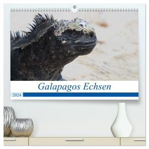 Galapagos Echsen (hochwertiger Premium Wandkalender 2024 DIN A2 quer), Kunstdruck in Hochglanz von Reeh,  Johannes