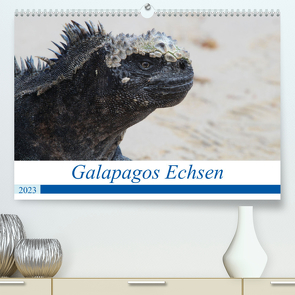 Galapagos Echsen (Premium, hochwertiger DIN A2 Wandkalender 2023, Kunstdruck in Hochglanz) von Reeh,  Johannes