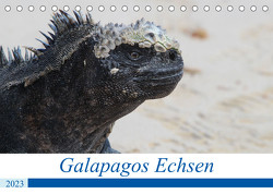Galapagos Echsen (Tischkalender 2023 DIN A5 quer) von Reeh,  Johannes