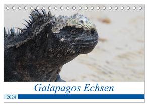 Galapagos Echsen (Tischkalender 2024 DIN A5 quer), CALVENDO Monatskalender von Reeh,  Johannes