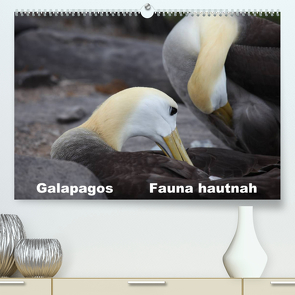 Galapagos. Fauna hautnah (Premium, hochwertiger DIN A2 Wandkalender 2022, Kunstdruck in Hochglanz) von Krause,  Johanna