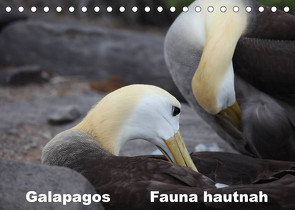 Galapagos. Fauna hautnah (Tischkalender 2022 DIN A5 quer) von Krause,  Johanna