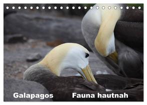 Galapagos. Fauna hautnah (Tischkalender 2024 DIN A5 quer), CALVENDO Monatskalender von Krause,  Johanna