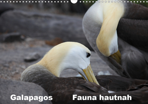 Galapagos. Fauna hautnah (Wandkalender 2021 DIN A3 quer) von Krause,  Johanna
