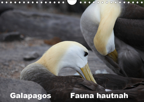 Galapagos. Fauna hautnah (Wandkalender 2021 DIN A4 quer) von Krause,  Johanna