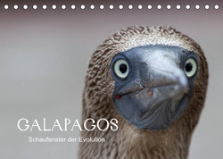 Galapagos (Tischkalender 2023 DIN A5 quer) von Weise,  Ralf