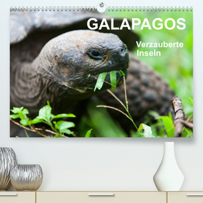 Galapagos. Verzauberte Inseln (Premium, hochwertiger DIN A2 Wandkalender 2023, Kunstdruck in Hochglanz) von Reuke,  Sabine