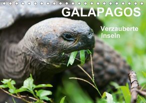 Galapagos Verzauberte Inseln (Tischkalender 2018 DIN A5 quer) von Reuke,  Sabine
