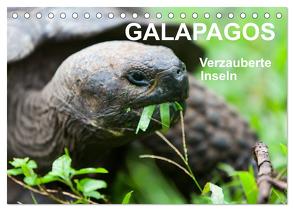 Galapagos. Verzauberte Inseln (Tischkalender 2024 DIN A5 quer), CALVENDO Monatskalender von Reuke,  Sabine