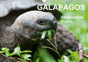 Galapagos. Verzauberte Inseln (Wandkalender 2021 DIN A3 quer) von Reuke,  Sabine