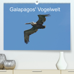 Galapagos‘ Vogelwelt (Premium, hochwertiger DIN A2 Wandkalender 2022, Kunstdruck in Hochglanz) von und Eva Schuster,  Michael