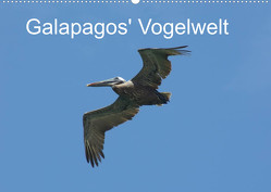 Galapagos‘ Vogelwelt (Wandkalender 2022 DIN A2 quer) von und Eva Schuster,  Michael