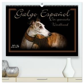 Galgo Español 2024- Der spanische Windhund (hochwertiger Premium Wandkalender 2024 DIN A2 quer), Kunstdruck in Hochglanz von Redecker,  Andrea