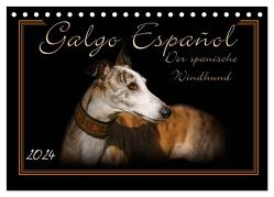 Galgo Español 2024- Der spanische Windhund (Tischkalender 2024 DIN A5 quer), CALVENDO Monatskalender von Redecker,  Andrea