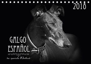 Galgo Español – der spanische Windhund 2018 (Tischkalender 2018 DIN A5 quer) von - Andrea Redecker,  4pfoten-design