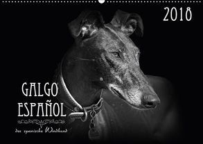 Galgo Español – der spanische Windhund 2018 (Wandkalender 2018 DIN A2 quer) von - Andrea Redecker,  4pfoten-design