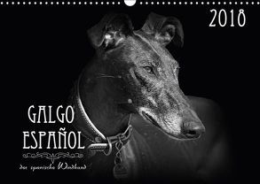 Galgo Español – der spanische Windhund 2018 (Wandkalender 2018 DIN A3 quer) von - Andrea Redecker,  4pfoten-design