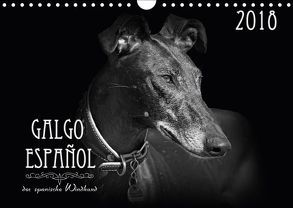 Galgo Español – der spanische Windhund 2018 (Wandkalender 2018 DIN A4 quer) von - Andrea Redecker,  4pfoten-design