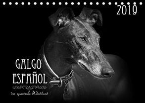 Galgo Español – der spanische Windhund 2019 (Tischkalender 2019 DIN A5 quer) von - Andrea Redecker,  4pfoten-design