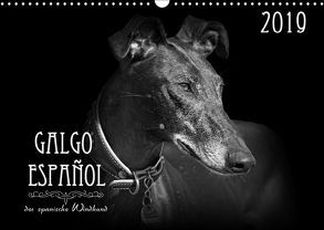 Galgo Español – der spanische Windhund 2019 (Wandkalender 2019 DIN A3 quer) von - Andrea Redecker,  4pfoten-design