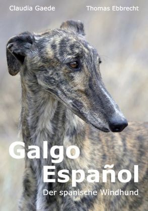 Galgo Español von Ebbrecht,  Thomas, Gaede,  Claudia